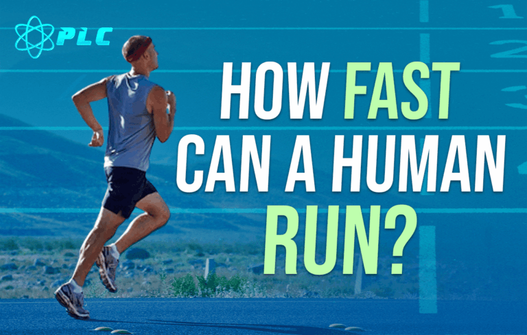 average sprinting speed human
