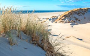 February Beach Vacations