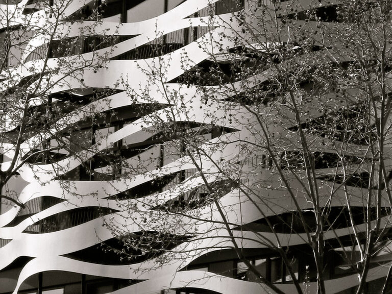 Pattern Based on Nature NYT