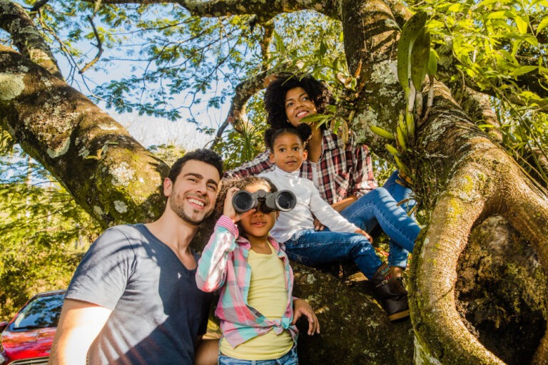 Things to Do in Chiapas: 6 Family-Friendly Spots for All Ages Things to Do in Chiapas