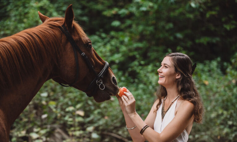should horses eat apples