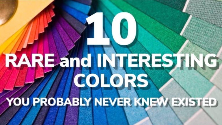 Discover Fun Colour Names for Design, Fashion & Art fun colour names